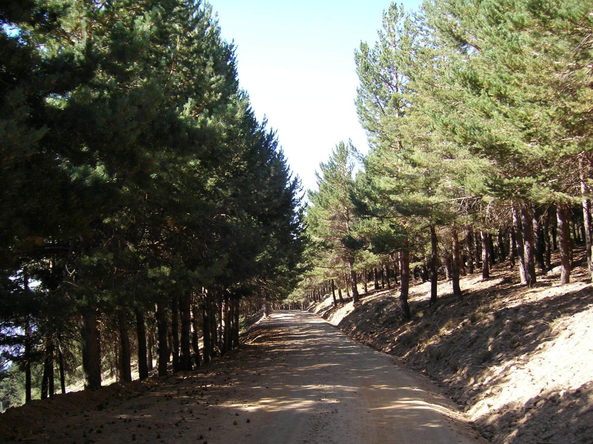 Hostal Rural Poqueira Capileira Exteriér fotografie