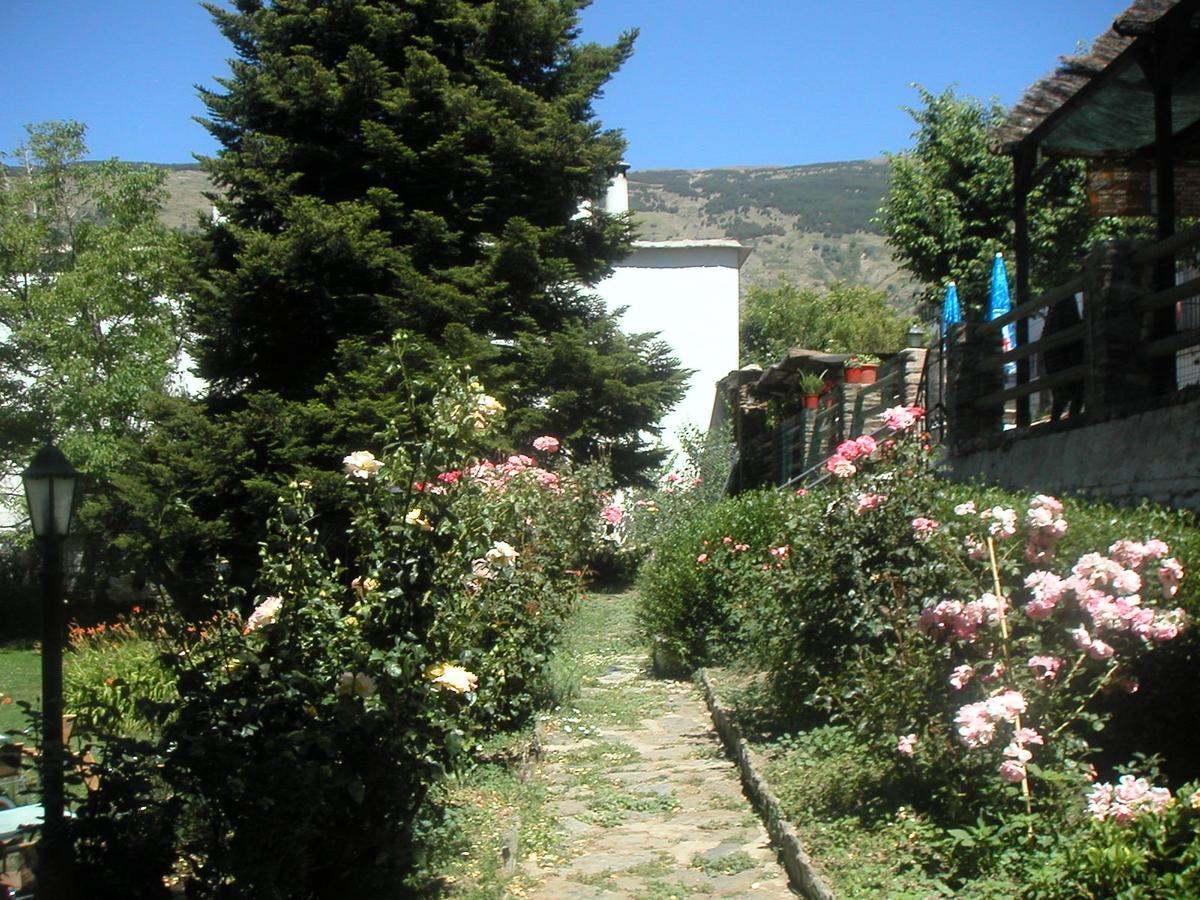 Hostal Rural Poqueira Capileira Exteriér fotografie